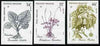French Polynesia 1987 Medicinal Plants #2 imperf set of 3 from limited printing, unmounted mint as SG 514-16*