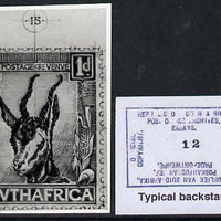 South Africa 1926-27 issue Public Works Dept B&W photograph of original 1d Springbok essay inscribed in English, approximately twice stamp-size. Official photograph from the original artwork held by the Government Printer in Preto……Details Below