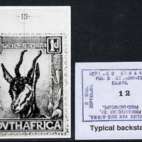 South Africa 1926-27 issue B&W photograph of original 1d Springbok essay inscribed in English approximately twice stamp-size. Official photograph from the original artwork held by the Government Printer in Pretoria with authority ……Details Below