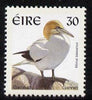 Ireland 1997-2000 Birds - Gannet 30p unmounted mint SG 1042