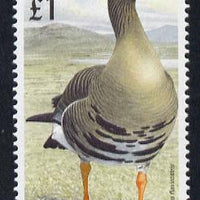 Ireland 1997-2000 Birds - White Fronted Goose £1 unmounted mint SG 1060