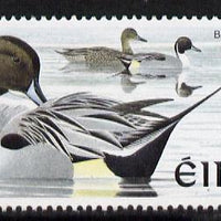 Ireland 1997-2000 Birds - Pintail £2 unmounted mint SG 1061