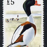 Ireland 1997-2000 Birds - Shelduck £5 unmounted mint SG 1062