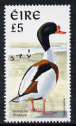 Ireland 1997-2000 Birds - Shelduck £5 unmounted mint SG 1062