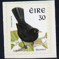 Ireland 1997-2000 Birds - Blackbird 30p self adhesive Perf 9x10 with phosphor frame unmounted mint SG 1087p