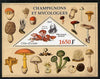 Ivory Coast 2012 Fungi & Mycologists perf m/sheet containing 1 triangular value unmounted mint