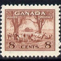 Canada 1942-48 KG6 War Effort 8c Cattle unmounted mint SG 382