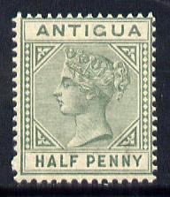 Antigua 1882 QV Crown CA 1/2d green unmounted mint SG 21