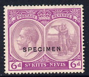 St Kitts-Nevis 1921-29 KG5 Script CA Columbus 6d dull & bright purple overprinted SPECIMEN without gum only about 400 produced SG 46s