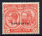St Kitts-Nevis 1921-29 KG5 Script CA Columbus 1.5d red overprinted SPECIMEN fine with gum only about 400 produced SG 40s