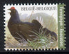 Belgium 2010-14 Birds - Black Grouse 0.40 Euro unmounted mint