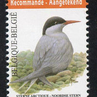 Belgium 2010-14 Birds - Arctic Tern 5.03 Euro unmounted mint