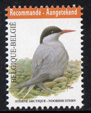 Belgium 2010-14 Birds - Arctic Tern 5.03 Euro unmounted mint
