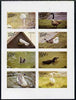 Oman 1977 Birds #2 (Swan, Penguin, geese, gull, dove, etc) imperf set of 8 values (1b to 1R) unmounted mint
