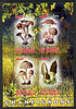 Congo 2013 Fungi #2 perf sheetlet containing four values unmounted mint