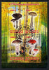 Djibouti 2013 Fungi #1 perf sheetlet containing 4 values cto used