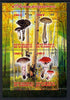 Djibouti 2013 Fungi #1 perf sheetlet containing 4 values unmounted mint
