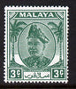 Malaya - Selangor 1949-55 Sultan 3c green unmounted mint SG 92