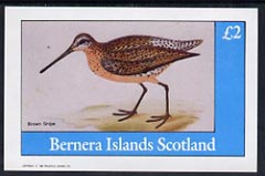 Bernera 1982 Brown Snipe imperf deluxe sheet (£2 value) unmounted mint