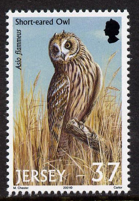 Jersey 2001 Birds of Prey - Short-Eared Owl 37p unmounted mint, SG 1001