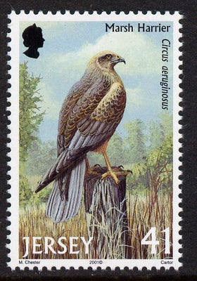 Jersey 2001 Birds of Prey - Western Marsh Harrier 41p unmounted mint, SG 1002