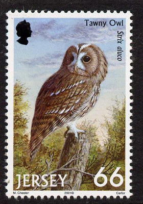 Jersey 2001 Birds of Prey - Tawny Owl 66p unmounted mint, SG 1004