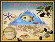 Madagascar 2013 Fauna - Pinstripe Damba Fish perf sheetlet containing one triangular value unmounted mint