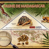 Madagascar 2013 Fauna - Madagascar Tortoise perf sheetlet containing one triangular value unmounted mint