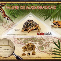 Madagascar 2013 Fauna - Madagascar Tortoise imperf sheetlet containing one triangular value unmounted mint