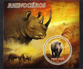 Madagascar 2014 Rhinos perf m/sheet containing one circular value unmounted mint