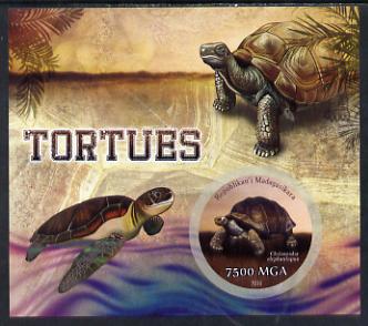 Madagascar 2014 Turtles imperf m/sheet containing one circular value unmounted mint