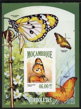 Mozambique 2013 Butterflies #7 imperf deluxe sheet unmounted mint. Note this item is privately produced and is offered purely on its thematic appeal