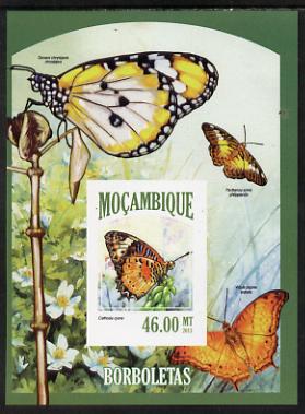 Mozambique 2013 Butterflies #8 imperf deluxe sheet unmounted mint. Note this item is privately produced and is offered purely on its thematic appeal