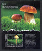 Guinea - Conakry 2014 Fungi #2 imperf s/sheet unmounted mint. Note this item is privately produced and is offered purely on its thematic appeal