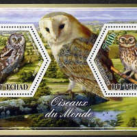 Chad 2014 Owls #2 perf sheetlet containing two hexagonal-shaped values unmounted mint