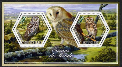Chad 2014 Owls #2 perf sheetlet containing two hexagonal-shaped values unmounted mint
