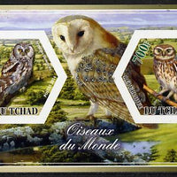 Chad 2014 Owls #2 imperf sheetlet containing two hexagonal-shaped values unmounted mint