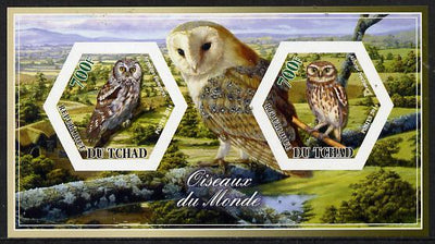 Chad 2014 Owls #2 imperf sheetlet containing two hexagonal-shaped values unmounted mint