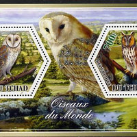 Chad 2014 Owls #3 perf sheetlet containing two hexagonal-shaped values unmounted mint