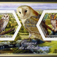 Chad 2014 Owls #3 imperf sheetlet containing two hexagonal-shaped values unmounted mint