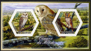 Chad 2014 Owls #3 imperf sheetlet containing two hexagonal-shaped values unmounted mint