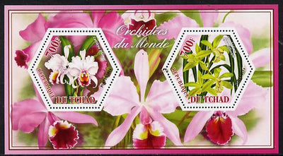 Chad 2014 Orchids #4 perf sheetlet containing two hexagonal-shaped values unmounted mint