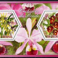 Chad 2014 Orchids #6 perf sheetlet containing two hexagonal-shaped values unmounted mint