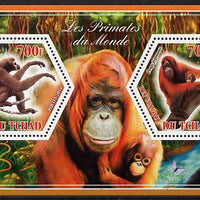 Chad 2014 Primates of the World #2 perf sheetlet containing two hexagonal-shaped values unmounted mint