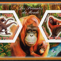 Chad 2014 Primates of the World #2 imperf sheetlet containing two hexagonal-shaped values unmounted mint