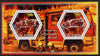 Chad 2014 Fire Engines #1 perf sheetlet containing two hexagonal-shaped values unmounted mint