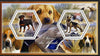 Chad 2014 Dogs #2 perf sheetlet containing two hexagonal-shaped values unmounted mint