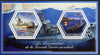 Chad 2014 Submarines #4 perf sheetlet containing two hexagonal-shaped values unmounted mint