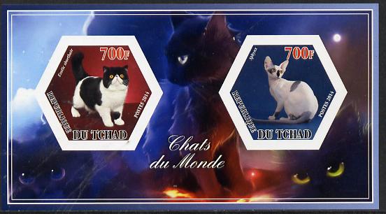 Chad 2014 Cats #1 imperf sheetlet containing two hexagonal-shaped values unmounted mint