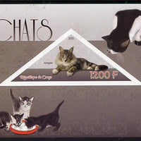 Congo 2015 Cats imperf sheetlet containing triangular-shaped value unmounted mint